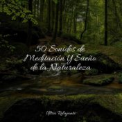 50 Sonidos de Meditación Y Sueño de la Naturaleza
