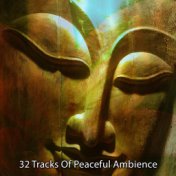 32 Tracks Of Peaceful Ambience