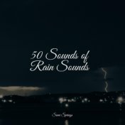 50 Sounds of Rain Sounds