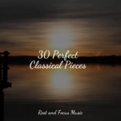 30 Perfect Classical Pieces