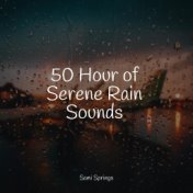 50 Hour of Serene Rain Sounds