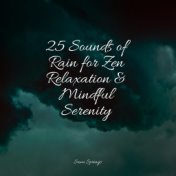 25 Sounds of Rain for Zen Relaxation & Mindful Serenity