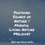 Soothing Sounds of Nature | Mindful Living Nature Melodies