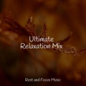 Ultimate Relaxation Mix