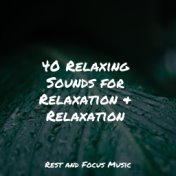 40 Relaxing Sounds for Relaxation & Relaxation