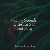 Healing Sounds | Ultimate Spa Serenity