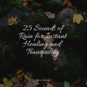 25 Sounds of Rain for Instant Healing and Tranquility