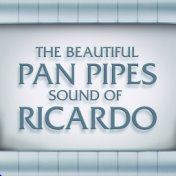 The Beautiful Pan Pipes Sound of Ricardo