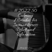 #2022 50 Calming Melodies for Instant Stress Relief and Relaxation