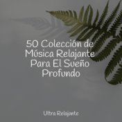 50 Colección de Música Relajante Para El Sueño Profundo