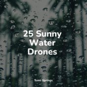 25 Sunny Water Drones