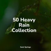 50 Heavy Rain Collection