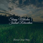 Sleepy Melodies | Instant Relaxation