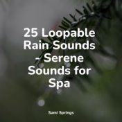25 Loopable Rain Sounds - Serene Sounds for Spa