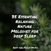 35 Essential Relaxing Nature Melodies for Deep Sleep