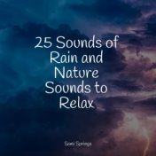 25 Sounds of Rain and Nature Sounds to Relax