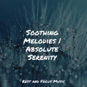 Soothing Melodies | Absolute Serenity