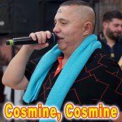 Cosmine, Cosmine