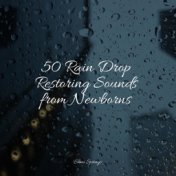50 Rain Drop Restoring Sounds from Newborns