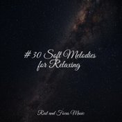 #30 Soft Melodies for Relaxing