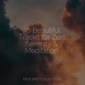 30 Beautiful Tracks for Zen Serenity & Meditation