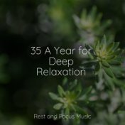 35 A Year for Deep Relaxation