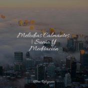 Melodías Calmantes | Sueño Y Meditación