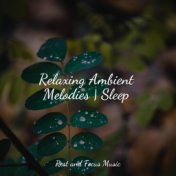 Relaxing Ambient Melodies | Sleep