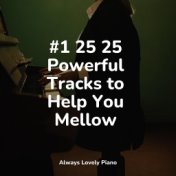 #1 25 25 Powerful Tracks to Help You Mellow