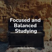 Focused and Balanced Studying