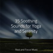 35 Soothing Sounds for Yoga and Serenity