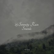 25 Serenity Rain Sounds