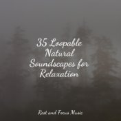 35 Loopable Natural Soundscapes for Relaxation
