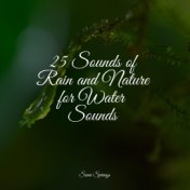 25 Sounds of Rain and Nature for Water Sounds