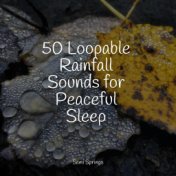 50 Loopable Rainfall Sounds for Peaceful Sleep