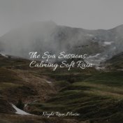 The Spa Sessions - Calming Soft Rain