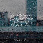 Blissful Recordings of Rain and Nature to Relax and Replenish (Loop)