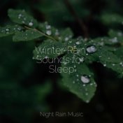 Winter Rain Sounds for Sleep