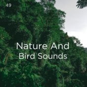 49 Nature And Bird Sounds