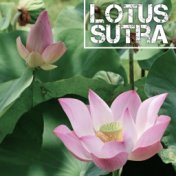 Lotus Sutra - Ambient New Age Music for Meditation and Yoga Training That Will Soothe Your Nerves and Thoughts