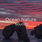 !!" Ocean Nature Sounds "!!