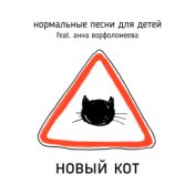 Новый кот