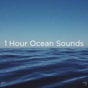 !!" 1 Hour Ocean Sounds "!!