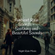 Ambient Rain Sounds - Soothing and Beautiful Sounds