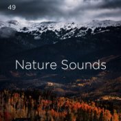 49 Nature Sounds