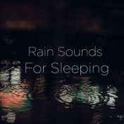 !!" Rain Sounds For Sleeping "!!