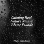 Calming Real Nature Rain & Water Sounds