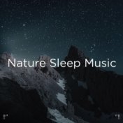 !!" Nature Sleep Music "!!