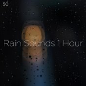 50 Rain Sounds 1 Hour