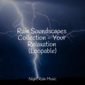 Rain Soundscapes Collection - Your Relaxation (Loopable)